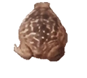 frogSPIN emote for Discord