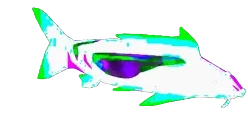 FrinkVibe emote for Discord