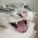 freakON emote for Discord