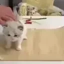 FreshBror emote for Discord