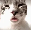 Freaky emote for Discord