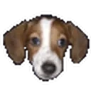 FrankerZ emote for Discord