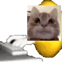 franking emote for Discord