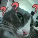 Freddy emote for Discord