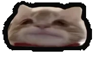 franknod emote for Discord