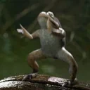 frogDance emote for Discord