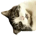 freyztofu emote for Discord