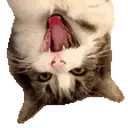 freyzebi emote for Discord