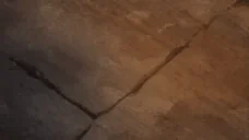 FREE emote for Discord