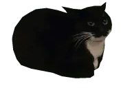 Fred emote for Discord