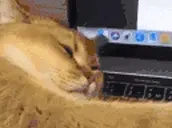 frain emote for Discord