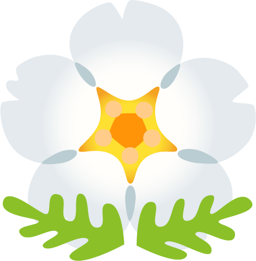 prettyflower emote for Discord