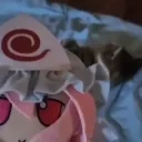 FumoCatHug emote for Discord