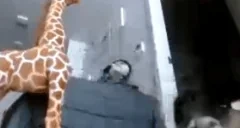 fuckingcriminal emote for Discord