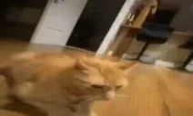 fuh emote for Discord