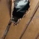 FunnyCatTRYINGtoLeaveYourWalls emote for Discord