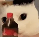 fuhShakey animated emote for Discord, Twitch and Slack