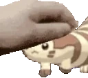 FurretPet emote for Discord