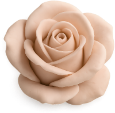 sandyrose emote for Discord