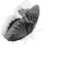 gothicbutterfly emote for Discord