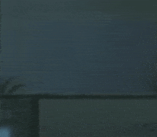 CuriousSonar emote for Discord