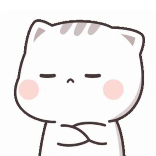 PoutingKitty emote for Discord