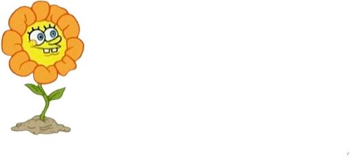 Flower emote for Discord