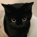 PleadingKitty emote for Discord