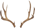 Deerantlers emote for Discord