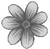 prettyflower emote for Discord