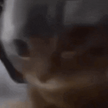 Chipichapa emote for Discord