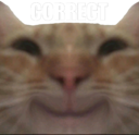 correct emote for Discord