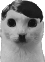 kitler emote for Discord
