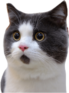 Cutecat emote for Discord