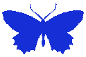 Butterfly3 emote for Discord