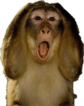 monkeypanicked emote for Discord