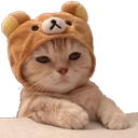 kitten_with_bear_hat emote for Discord