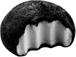 BlackMochi emote for Discord