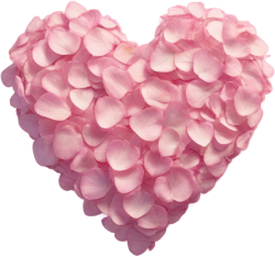 Pinkflowerheart emote for Discord