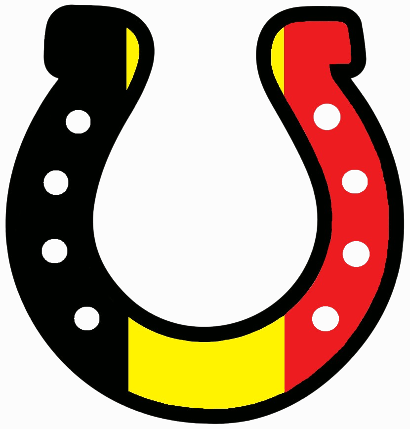 BelgiumGoodLuck emote for Discord