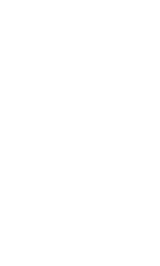 Booster emote for Discord