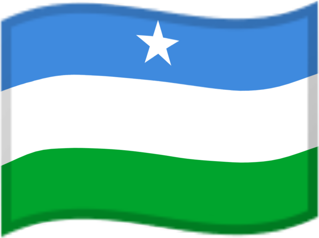 Puntland emote for Discord