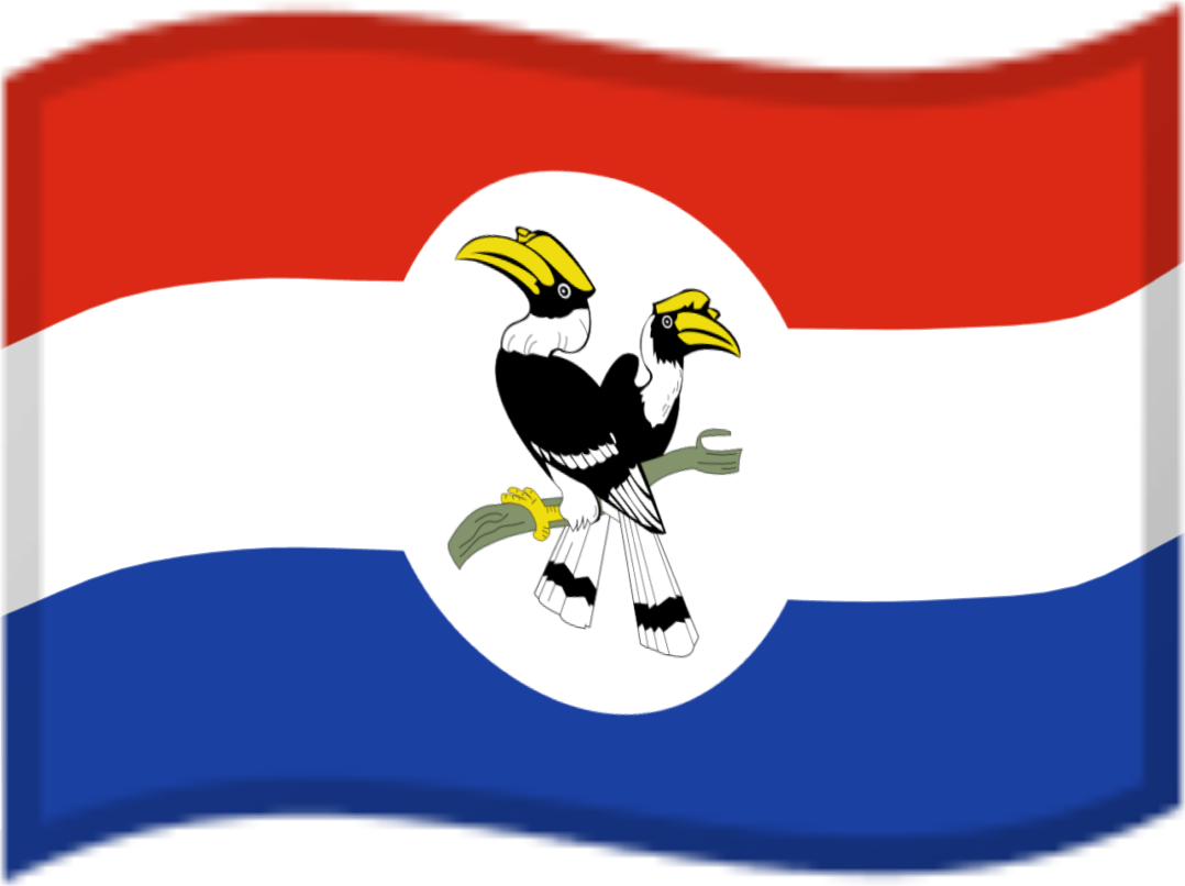 Chinland emote for Discord