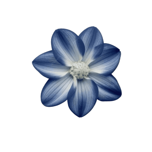 blue_flower emote for Discord