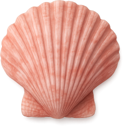 Lightpinkseashell emote for Discord