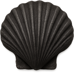 Blackseashell emote for Discord