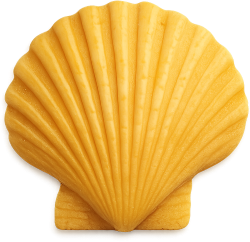 Yellowseashell emote for Discord