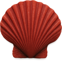 Redseashell emote for Discord