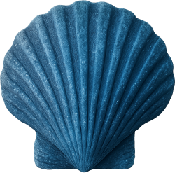 Blueseashell emote for Discord