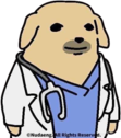 Dogtor emote for Discord
